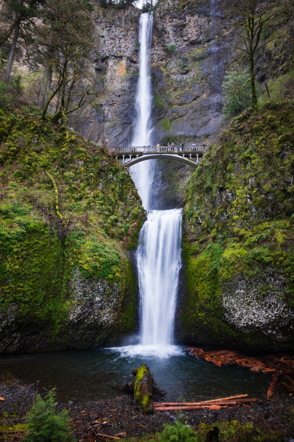 Wide Conversion Lens FOR Ricoh GR Series Comparison 13With